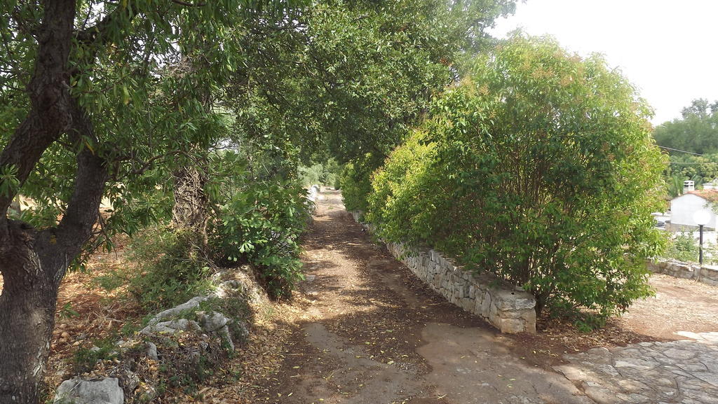 Villa Apollonia B&B Monopoli Exterior photo
